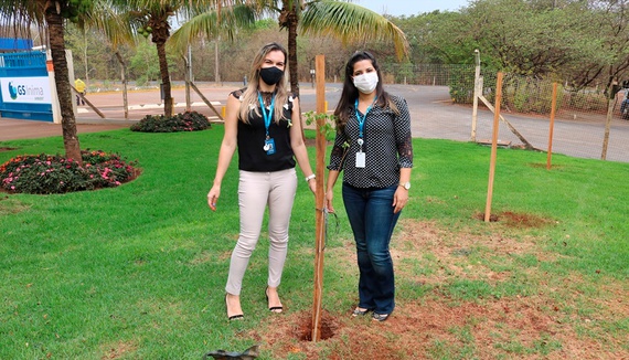 GS Inima Ambient realiza ação em comemoração ao Dia da Árvore