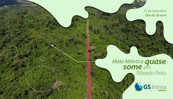 MATA ATLÂNTICA QUASE SOME EM RIBEIRÃO PRETO