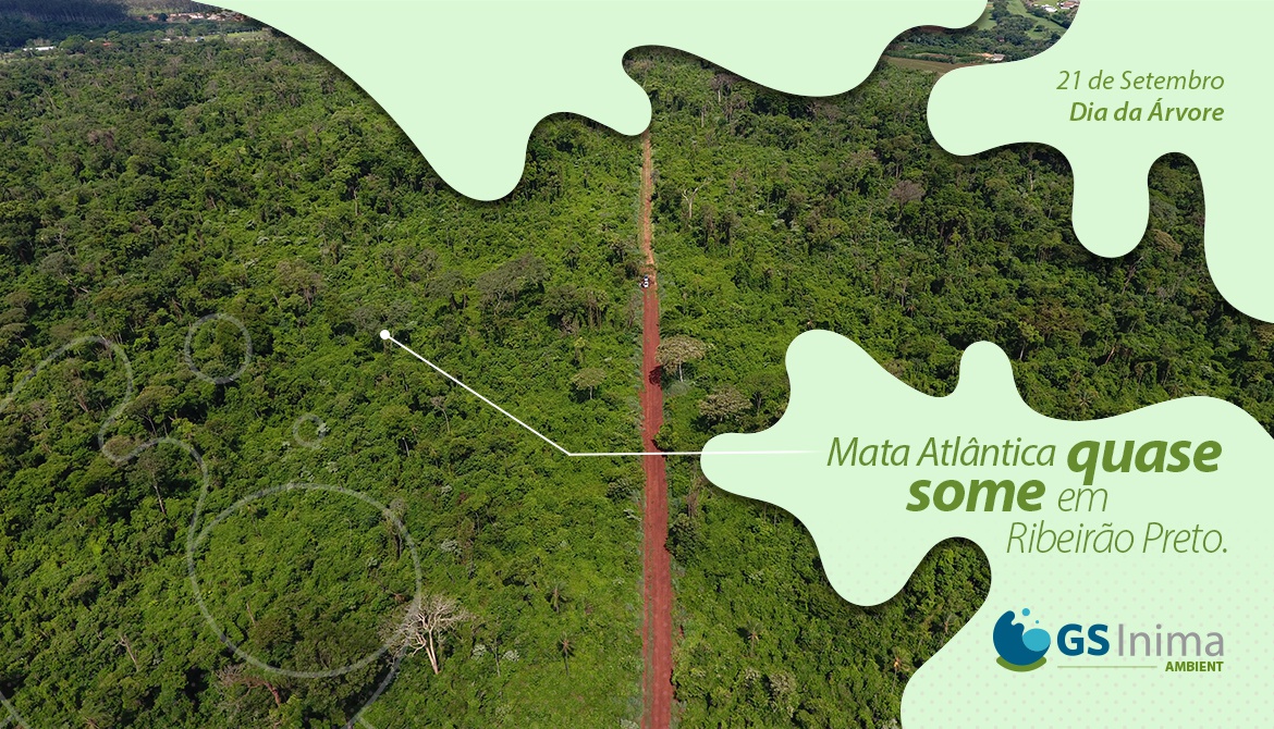 MATA ATLÂNTICA QUASE SOME EM RIBEIRÃO PRETO